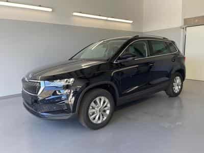 Skoda Karoq Selection (2026) - Photo 1