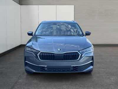 Skoda Octavia Selection (2026) - Foto 2