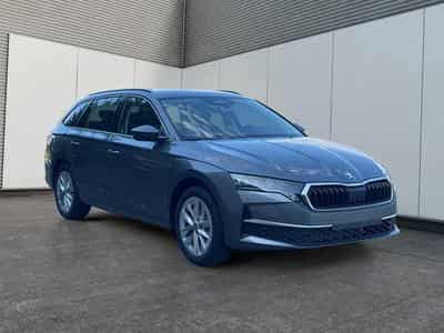 Skoda Octavia Selection (2026) - Foto 3