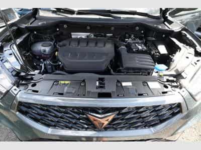 Cupra Ateca Tribe Edition (2026) - Photo 12