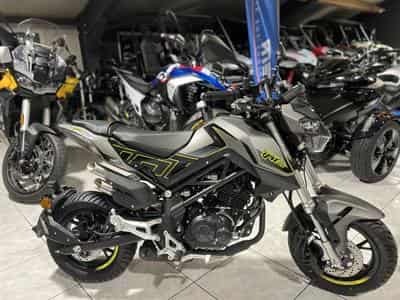 Benelli Tornado TNT (2026) - Photo 1