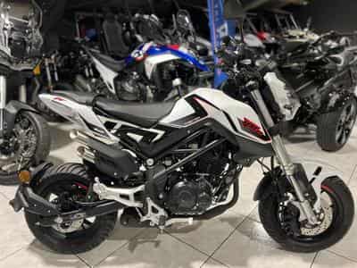 Benelli Tornado TNT (2026) - Photo 1