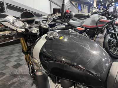 Royal Enfield Bear 650 Golden Shadow (2025) - Photo 6
