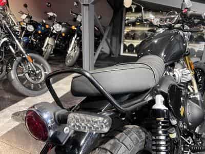 Royal Enfield Bear 650 Golden Shadow (2025) - Photo 5