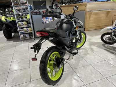 Magpower Biggers 50 (2024) - Photo 3