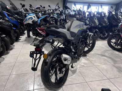 Benelli BN GRIS (2026) - Photo 3