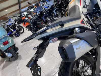 Benelli BKX 300 (2026) - Photo 4