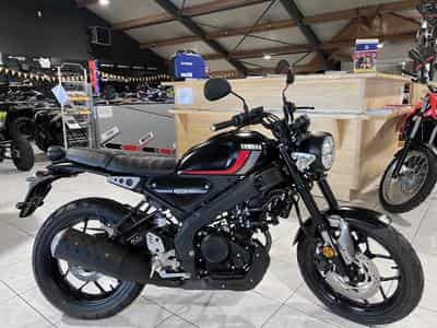 Yamaha XSR (2021) - Photo 1