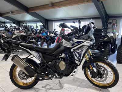 Voge DS800X Rally (2026) - Photo 1