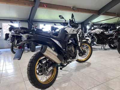 Voge DS800X Rally (2026) - Photo 3