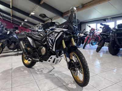 Voge DS800X Rally (2026) - Photo 7