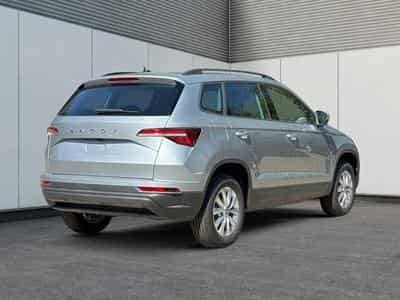 Skoda Karoq Selection (2026) - Foto 3