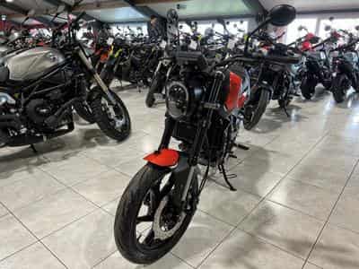 Benelli Leoncino 125 (2026) - Photo 5