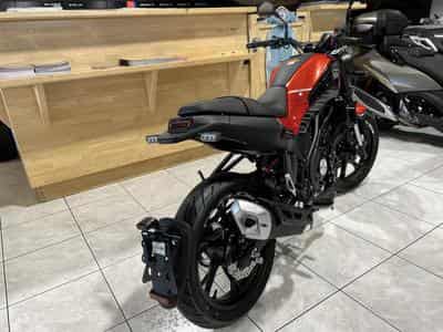 Benelli Leoncino 125 (2026) - Photo 6