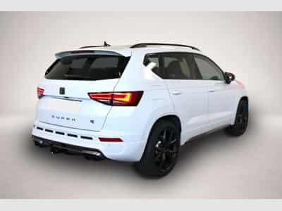 Cupra Ateca (2025) - Photo 3