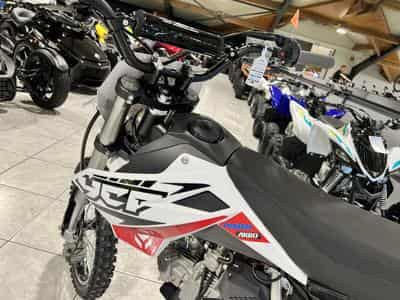 YCF Bigy 150 E Factory S démarreur électrique (2024) - Foto 6