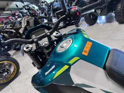 Benelli BKX 300 S (2026) - Photo 6