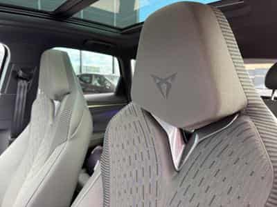 Cupra Terramar VZ - TRIBE EDITION (2026) - Foto 15