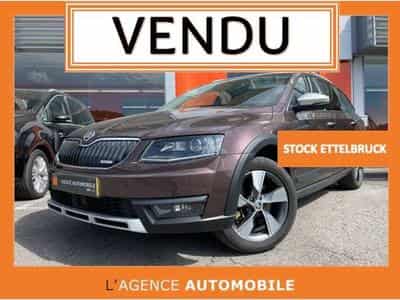 Skoda Octavia SCOUT break 2.0 TDI 4x4 DSG (2015) - Foto 1