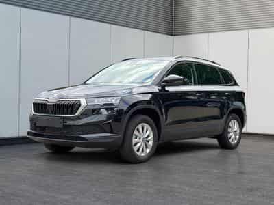 Skoda Karoq Selection (2026) - Photo 1