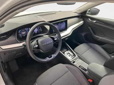 Skoda Octavia Selection (2026) - Foto 12
