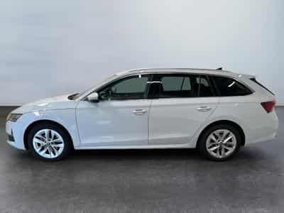 Skoda Octavia Selection (2026) - Foto 4