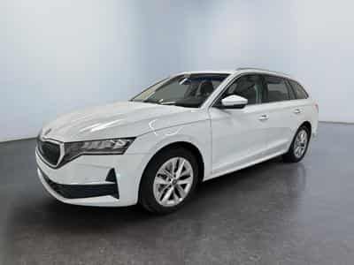 Skoda Octavia Selection (2026) - Foto 3