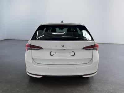 Skoda Octavia Selection (2026) - Foto 6