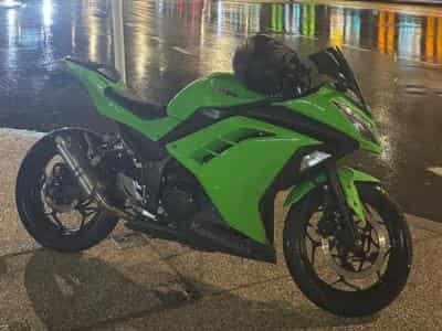 Kawasaki Ninja Ninja 300 (2014) - Photo 1