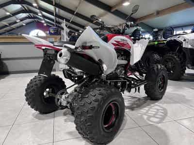 Yamaha YFM 700 R - RAPTOR  70 TH homologuée (2026) - Foto 3