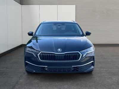 Skoda Octavia Selection (2026) - Foto 2