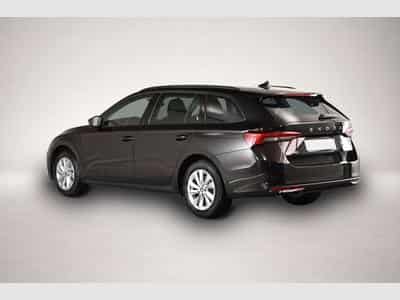 Skoda Octavia (2026) - Photo 3