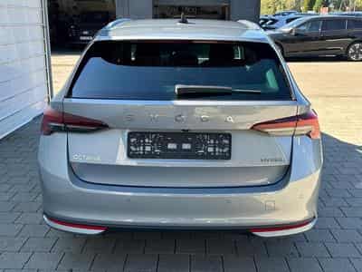 Skoda Octavia Selection (2026) - Foto 5