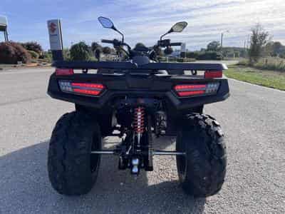 Loncin XWOLF 200 2 WD T3b 60  Km/h (2026) - Photo 4