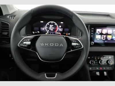Skoda Karoq Selection 4x4 (2026) - Photo 5