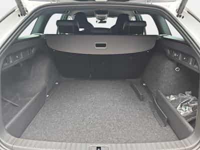 Skoda Octavia 2.0 TDi 150 DSG Sportline (2026) - Foto 13
