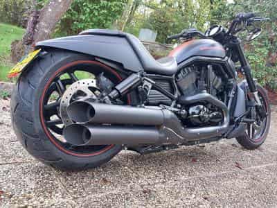 Harley-Davidson Night Rod Special (2012) - Photo 1