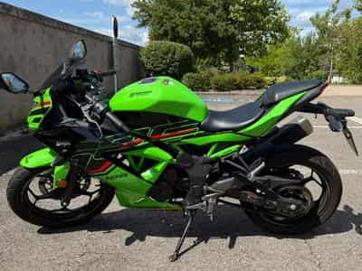 Kawasaki Ninja (2023) - Photo 1