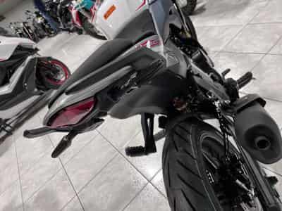 Morbidelli F125 (2026) - Photo 5