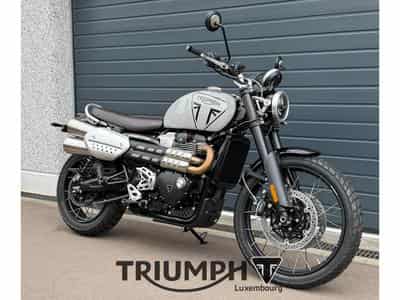 Triumph Scrambler SCRAMBLER 1200 X (2026) - Foto 6