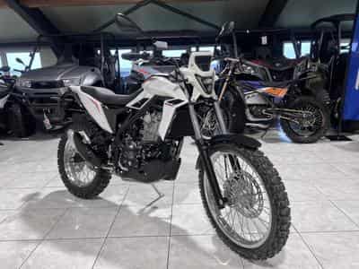 Beta Alp 4.0 (2026) - Photo 7