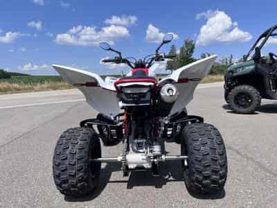 Yamaha YFM 700 R - RAPTOR  70 TH homologuée (2026) - Foto 4