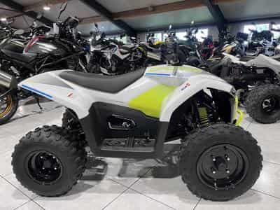 CF Moto CForce EV 110 (2026) - Foto 1