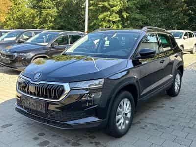Skoda Karoq Selection (2026) - Photo 3