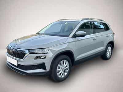 Skoda Karoq (2026) - Photo 3