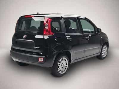 Fiat Panda (2026) - Foto 2