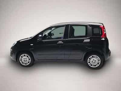 Fiat Panda (2026) - Foto 4