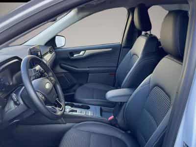 Ford Kuga (2026) - Foto 6