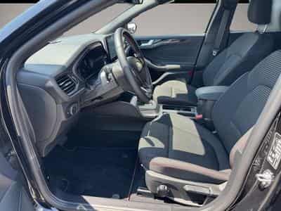 Ford Focus (2025) - Photo 5