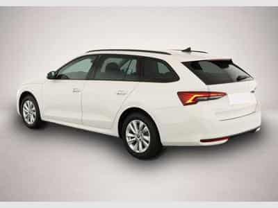 Skoda Octavia (2026) - Foto 4